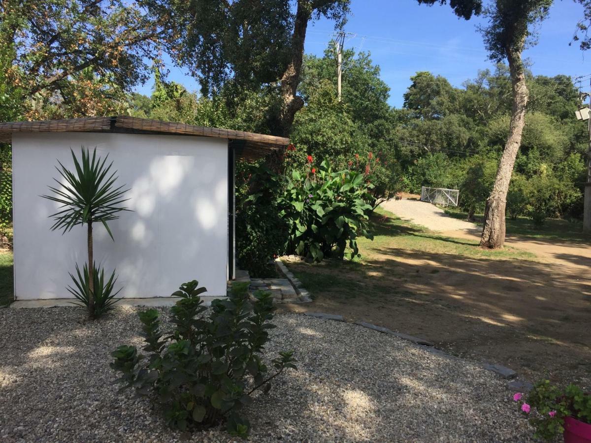 Residence Emilia Santa-Maria-Poggio  Exterior photo